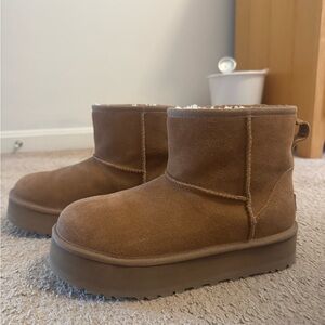 Classic Mini II Uggs in color Chestnut